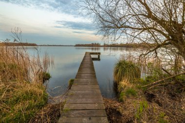 Gelişmekte olan bitkiler, erken Bahar yatay