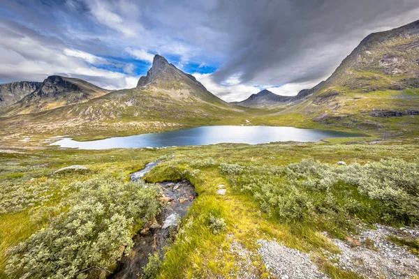 Alpine vegetatie en berg pieken Trollveggen weg — Stockfoto