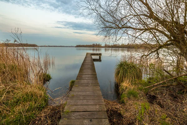 Vroege voorjaar landschap met opkomende planten — Stockfoto