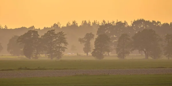 Gesloten agrarische landschap met bomen en weilanden — Stockfoto