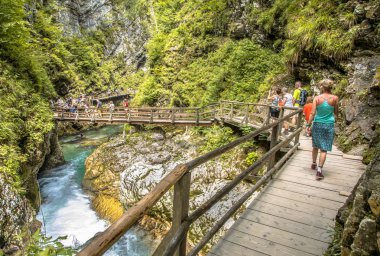 Soteska vintgar gorge boardwalk