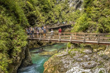 Soteska vintgar gorge boardwalk turist