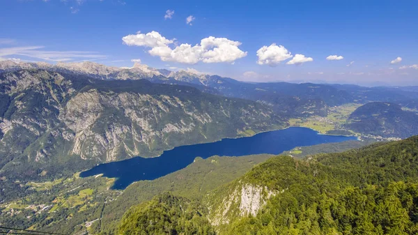 Havadan görünümü Gölü Bohinj — Stok fotoğraf