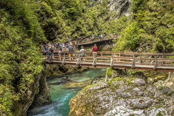 Soteska vintgar gorge boardwalk with tourists — Stock Photo, Image