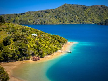 Yeşil orman ve masmavi bir deniz sesleri marlborough, Yeni Zelanda