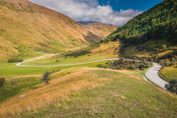 完美蜿蜒的道路在新西兰农村 靠近皇后镇 奥塔哥 — 图库照片