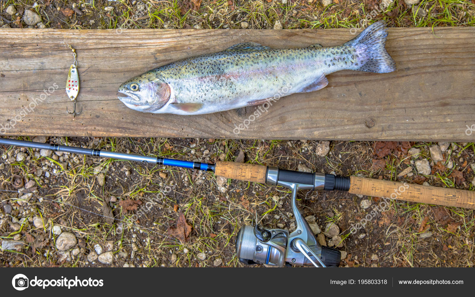 rainbow fishing rod