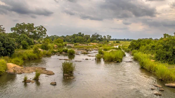 Панорама реки Саби, пересекающей Крюгер — стоковое фото