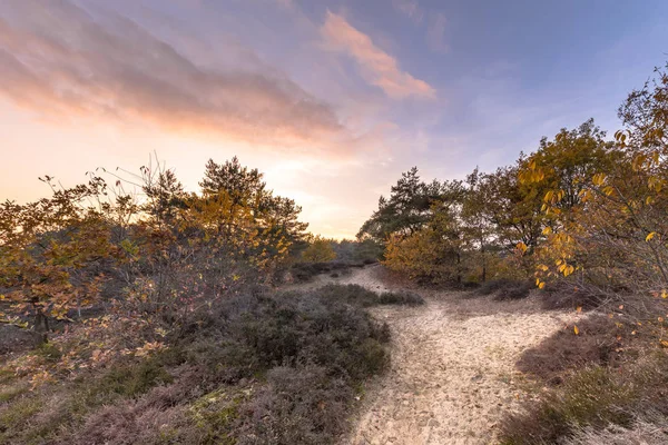 Wanderweg durch Heide in herbstlichen Farben — Stockfoto