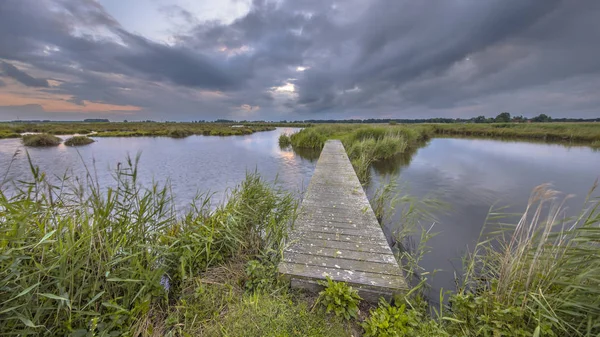 湿地帯の木造歩道橋 — ストック写真