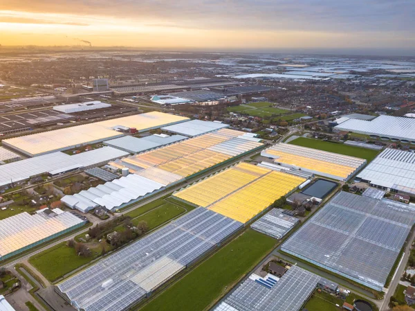 Vista aérea del área hortícola gigante de invernadero — Foto de Stock