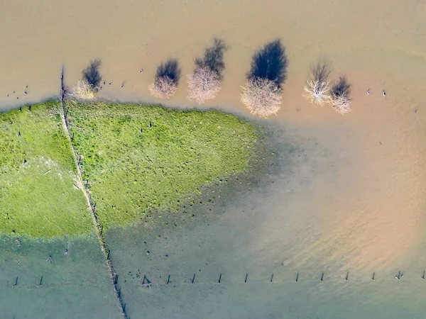 Overstroomd rivierlandschap — Stockfoto