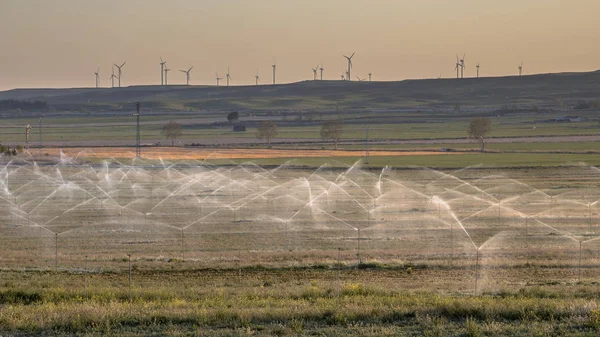 Arroseurs arroseurs arrosage des terres agricoles — Photo