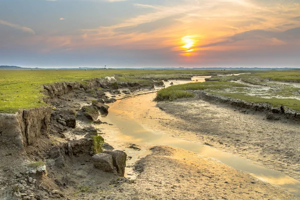 Marais du chenal de marée Ameland — Photo