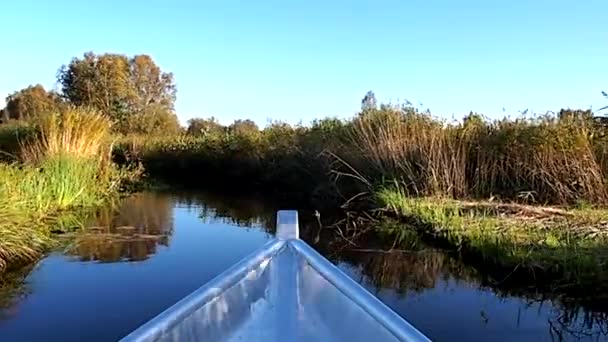 Passeio de barco pelo estreito rio — Vídeo de Stock