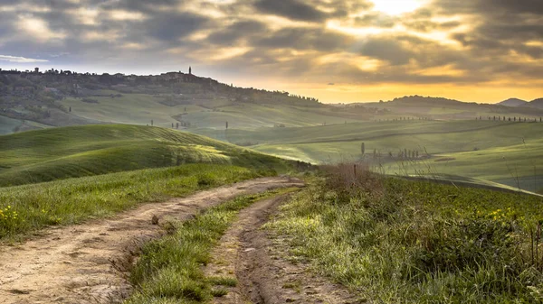 Dirt Track Tranquil Landscape Groups Trees Rolling Hills Val Orcia — Stock Photo, Image