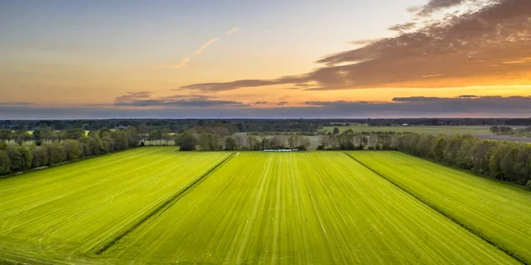 荷兰Drenthe Wezup附近有树窗的农业草地景观的空中景观 — 图库照片