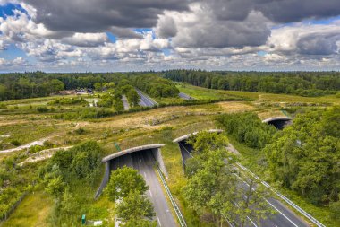 Dwingelderveld Ulusal Parkı, Beilen, Drenthe, Hollanda 'daki Ecoduct yaban hayatının hava görüntüsü