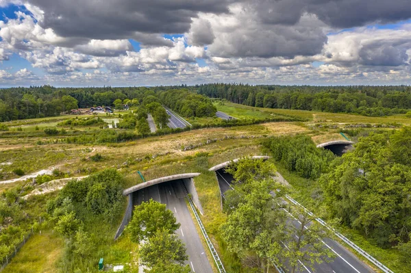 Vista Aérea Ecoduct Wildlife Crossing Parque Nacional Dwingelderveld Beilen Drenthe — Foto de Stock