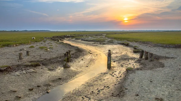 Kanał Pływowy Bagnach Solnych Naturalnym Systemem Meandrującym Brodzącej Wyspie Ameland — Zdjęcie stockowe