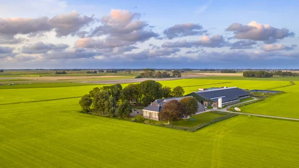 Flygfoto Över Öppen Jordbruksmark Jordbrukslandskap Med Ängar Och Gårdar Molnig — Stockfoto