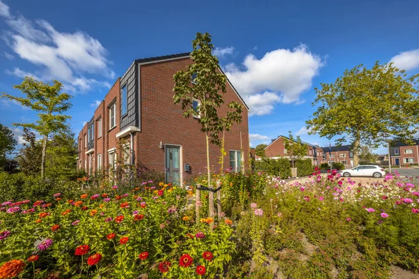 Paisaje Callejero Con Casas Modernas Flores Una Ciudad Holandesa Países —  Fotos de Stock