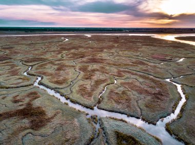 Zeeland, Hollanda Verdronken kara van Saeftinghe doğal kıvrımlı drenaj sistemi ile gelgit bataklık havadan görünümü