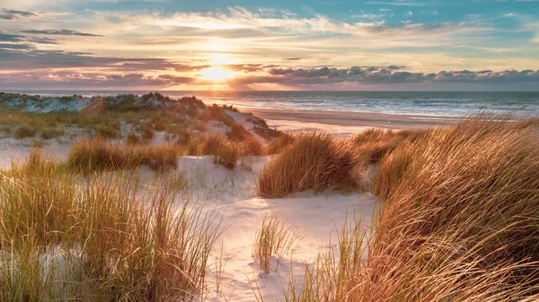 Coucher Soleil Vue Haut Des Dunes Sur Mer Nord Depuis — Photo