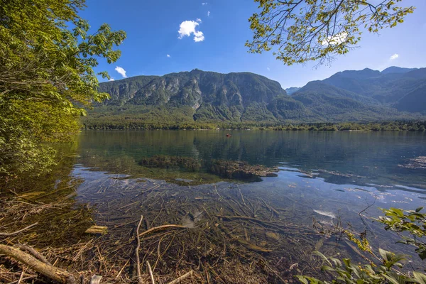 Bohinjsko Jezero Nun Zümrüt Suyu Veya Bohinj Gölü Kuzey Kıyısından — Stok fotoğraf