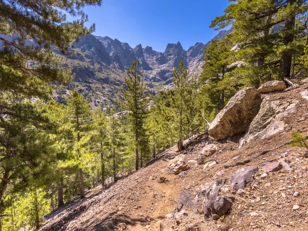 Fransa 'nın Korsika adasında Haute Corse' daki Cinto Dağı manzaralı Asco Nehri geçidinde yürüyüş yolu