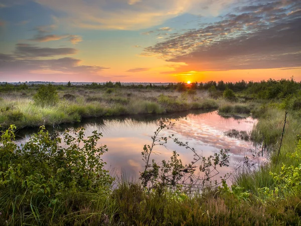 Sunrise Fochteloerveen Swamp Nature Reserve Drenthe Netherlands — Stock Photo, Image