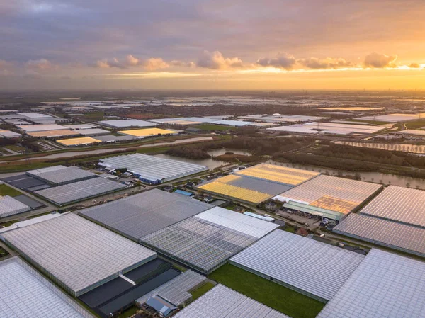 オランダのウエストランドまたはガラス都市温室園芸エリアの空中ビュー 世界最大の食料生産地域の一つは オランダ経済の巨大なエンジン — ストック写真
