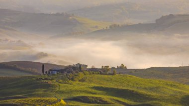 Tuscany, İtalya, Nisan 'da sabah sisinde Hilly kırsalında.
