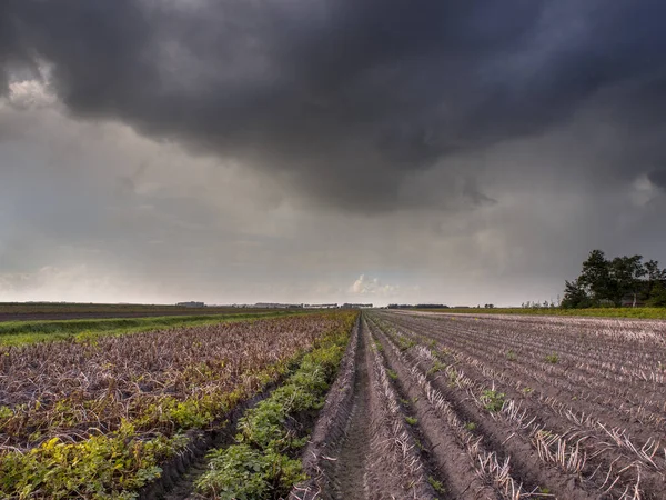 Tempestade Com Nuvens Escuras Sobre Campo Agrícola Nos Países Baixos — Fotografia de Stock