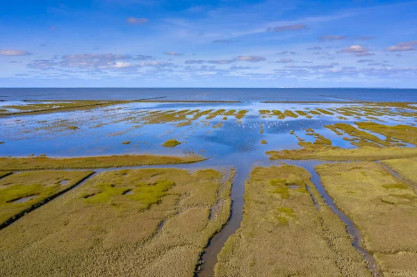 Vue Aérienne Parc National Marais Des Marées Zone Patrimoine Mondial — Photo