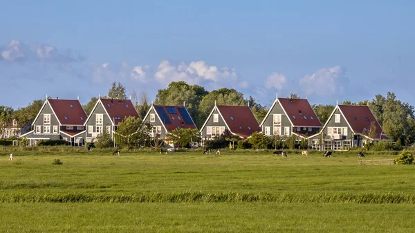 Fila Casas Madera Tradicionales Paisaje Agrícola Cerca Leeuwarden Países Bajos —  Fotos de Stock