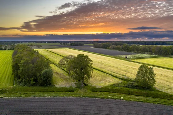 Vista Aérea Paisagem Prado Agrícola Com Quebra Ventos Árvores Perto — Fotografia de Stock