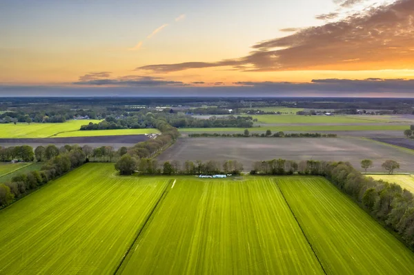 荷兰Drenthe Wezup附近有树窗的农业草地景观的空中景观 — 图库照片