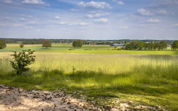 Agricultural Landscape Seen Bergherbos Nature Reserve — Stock Photo, Image