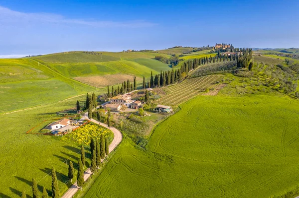 Aerial View Hilly Countryside Tuscany Morning Fog Val Orcia Italy — Stock Photo, Image