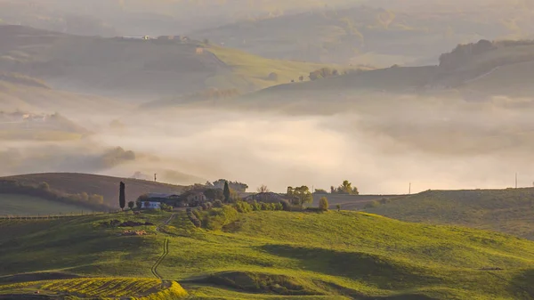 Wzgórze Wiejskie Porannej Mgle Toskanii Włochy Kwiecień — Zdjęcie stockowe