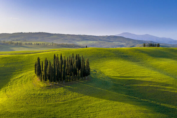 Vista Aérea Del Grupo Cipreses Las Colinas Toscana Sol Mañana — Foto de Stock