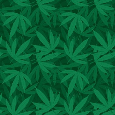 Esrar ya da marihuana arkaplanı. Vektör.