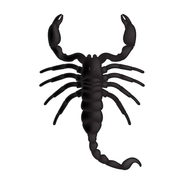 Scorpion Icon Vector Realistic Scorpion — Stock Vector