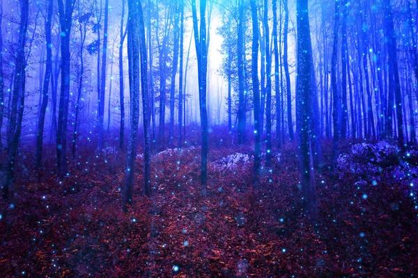 Magic fireflies in dark blue red foggy forest — Stock Photo, Image