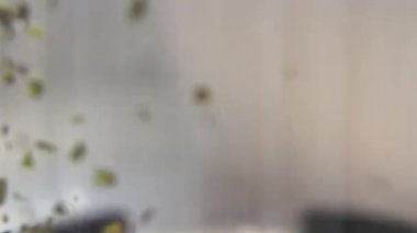 sıcak yeşil çay kahve makinesi yakın çekim, küçük bir alan derinliği ile yakalanan