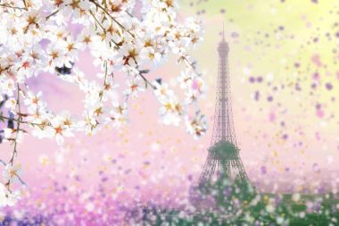 Paris cityscape pembe günbatımı, Eyfel Kulesi ile havadan görünümü 