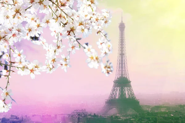 A légi felvétel a párizsi városkép az Eiffel-torony, a rózsaszín naplemente — Stock Fotó