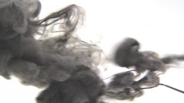 Renkli mürekkep su. Soyut video.