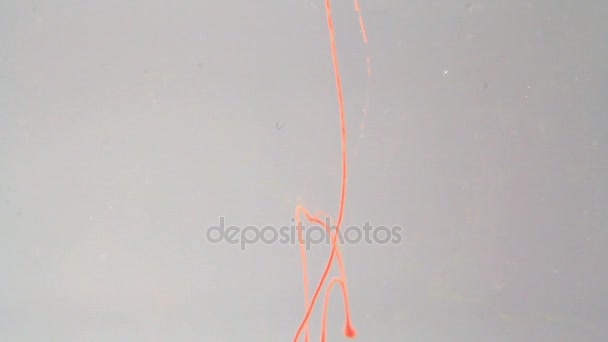 Kleur inkt in water. Abstracte video. — Stockvideo